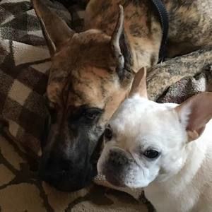 Meet your Posher, Renee